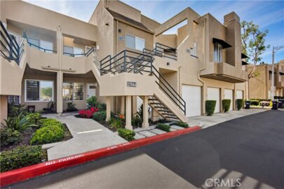 27844 Violet #155 Photo