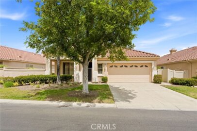 40190 Colony Photo