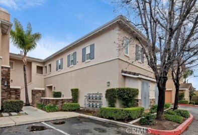 26342 Arboretum #3607 Photo