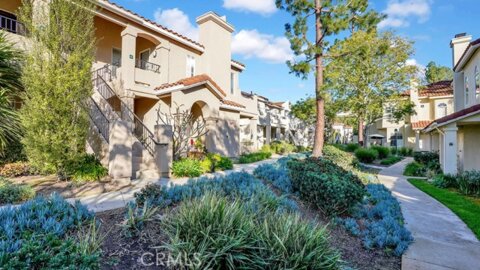 61 Whippoorwill Photo