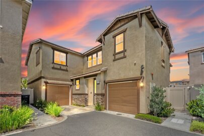 24256 White Willow Photo