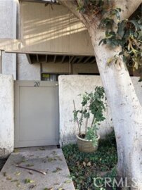 Magnificent Newly Listed Park Ridge Condominium Located at 3054 Associated #20