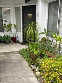 Delightful Newly Listed La Ventana Condominium Located at 57 Rabano