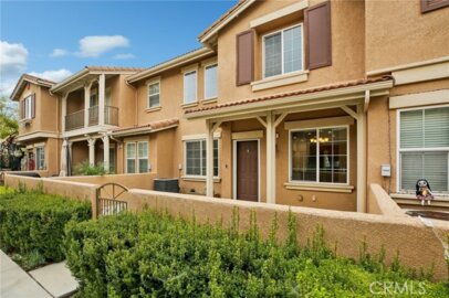 337 Mountain Holly Photo