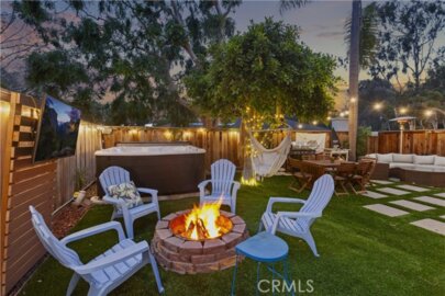 29533 Sea Horse Photo