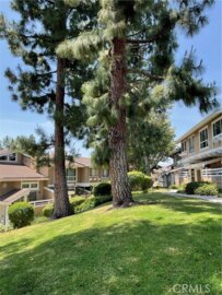 917 W Imperial #64 Photo
