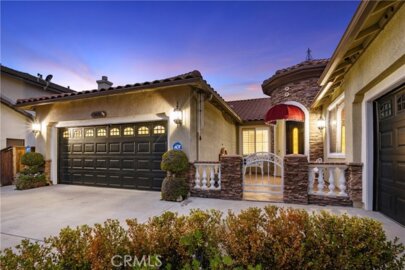 26313 Palm Tree Photo