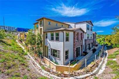 1852 Red Willow Photo