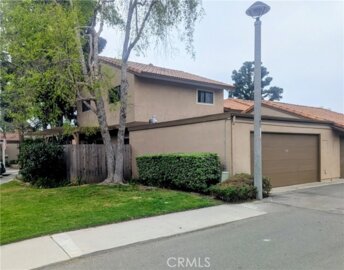 7770 Blue Spruce Photo