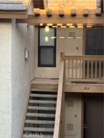 285 Tangelo 335 Photo