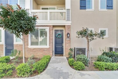 4338 Canyon Coral Photo