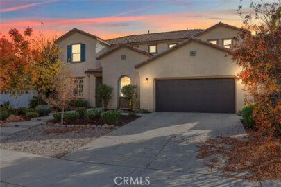 30517 Copper Rose Photo