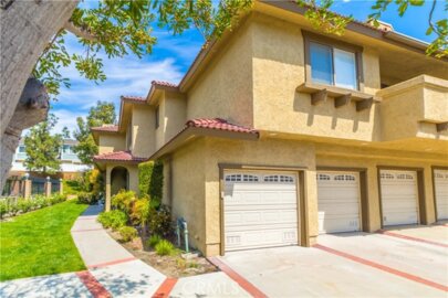 25261 Tanoak Photo