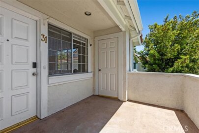 31 Gavilan #124 Photo