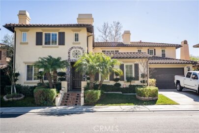 26775 Chamomile Photo