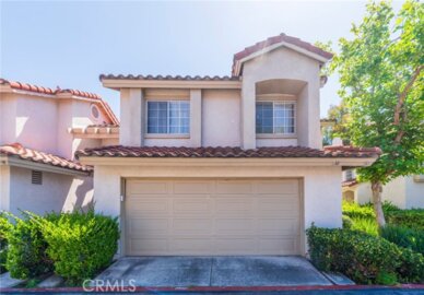 38 Carnation Photo