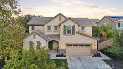 25654 Red Hawk Photo