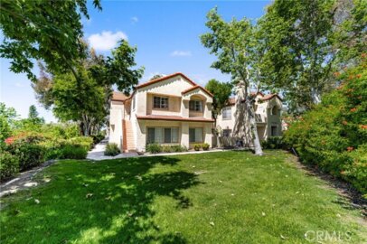21256 Camelia Photo