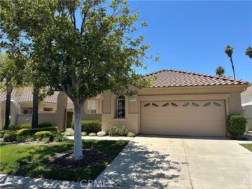 40145 Colony Photo
