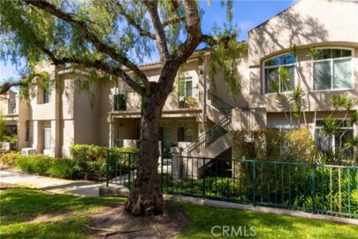 74 Cinnamon Teal Photo