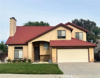 39664 Wild Flower Photo