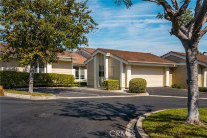 16 Driftwood #24 Photo