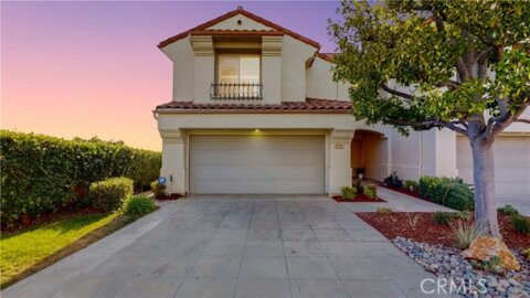 1624 Caminito Solidago Photo