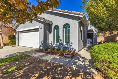 28184 Meadowsweet Photo