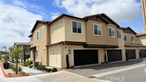 39389 Corvina Photo