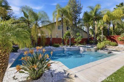 36849 Wax Myrtle Photo