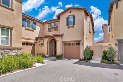 24280 White Willow Photo