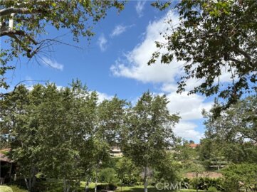25781 Marguerite #F202 Photo