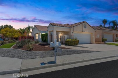 28860 Champions Photo