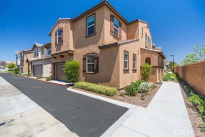 28175 Ashtree Photo
