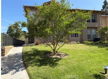 94 Night Heron Photo