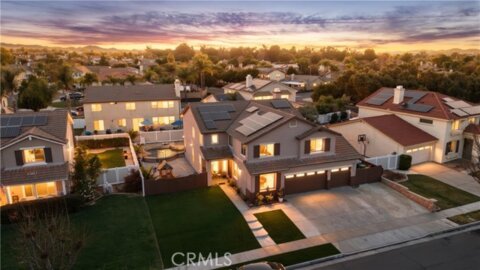 33671 Marigold Photo