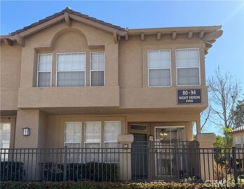 94 Night Heron Photo