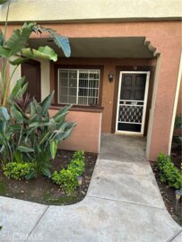 74 Flor De Sol #53 Photo