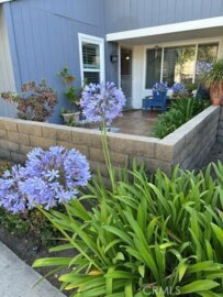 29562 Brook Court Photo