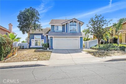 26650 Black Horse Photo