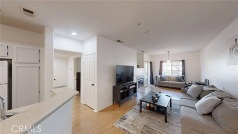 26426 Arboretum #806 Photo