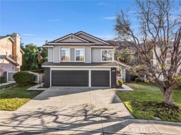 13219 Gold Rush Photo