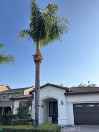 29661 Camino Pepita Photo