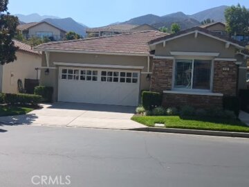 9131 Larkspur Photo