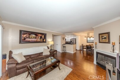 23562 Cambridge Photo