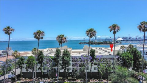 1140 E Ocean Boulevard #134 Photo
