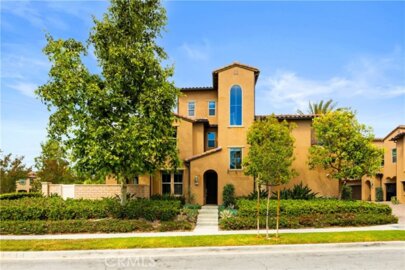 65 Finch Photo
