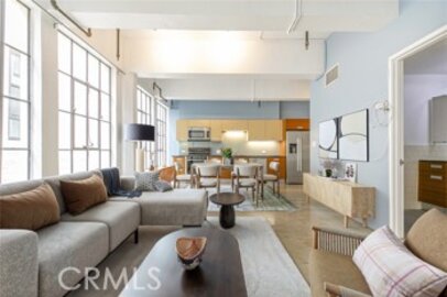 Delightful Newly Listed Santee Village Loft Located at 746 S Los Angeles Street #1009