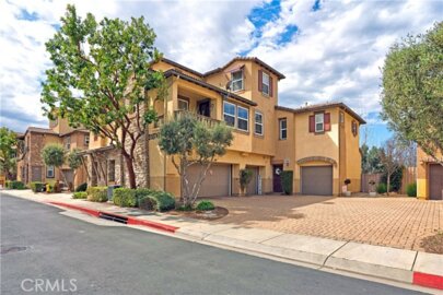 31082 Strawberry Tree Photo