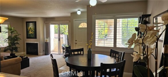 21208 Camelia #44 Photo